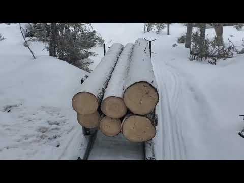 Skandic 900 ace Widetrack pulling logs with bob sleds