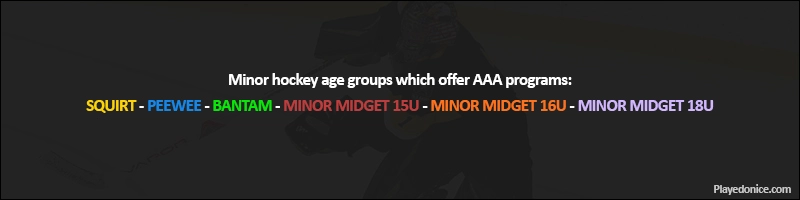 aaa hockey age groups