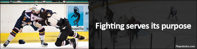the point of hockey fights